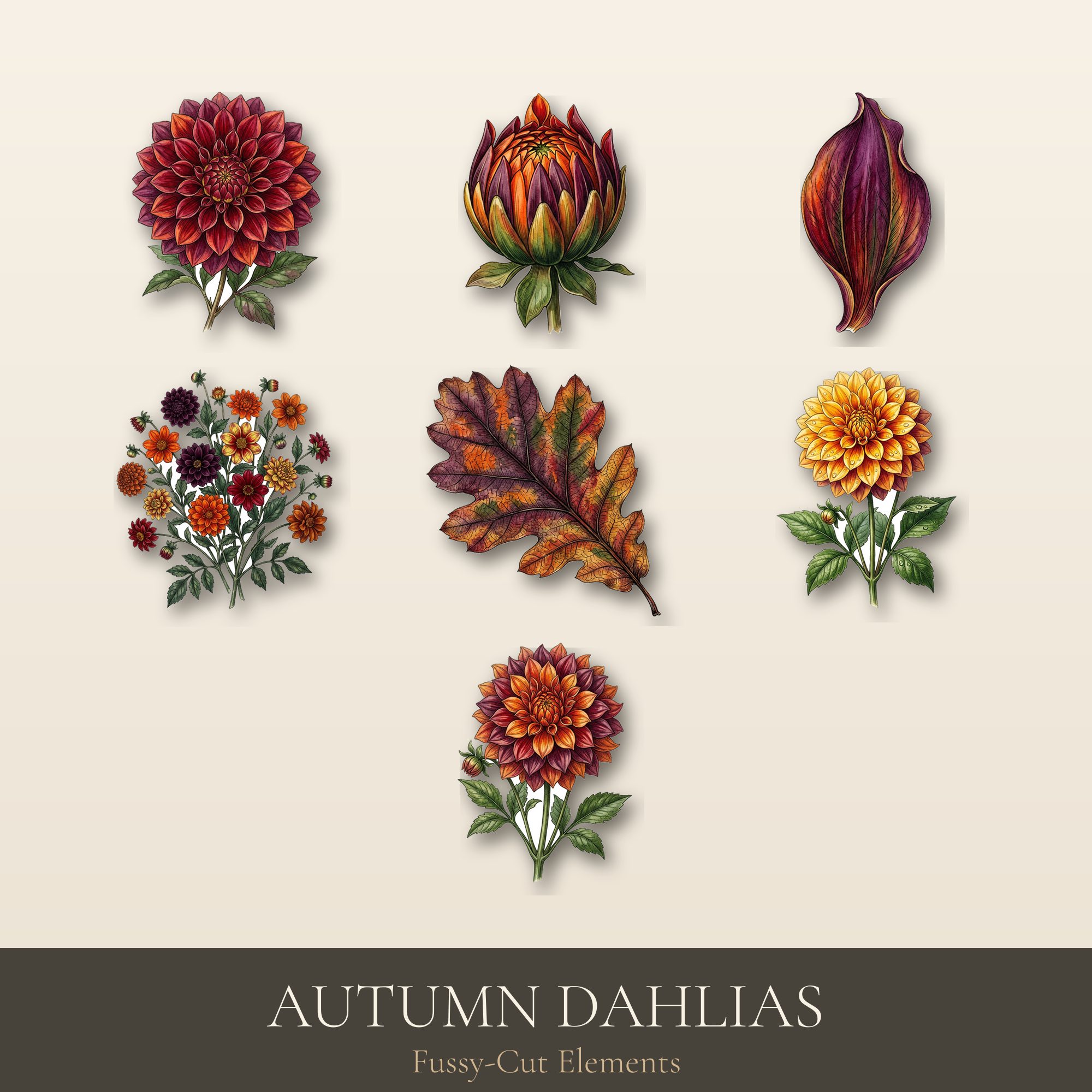 Autumn Dahlias Fussy-Cut Elements | Printable Ephemera Pack | Digital Download