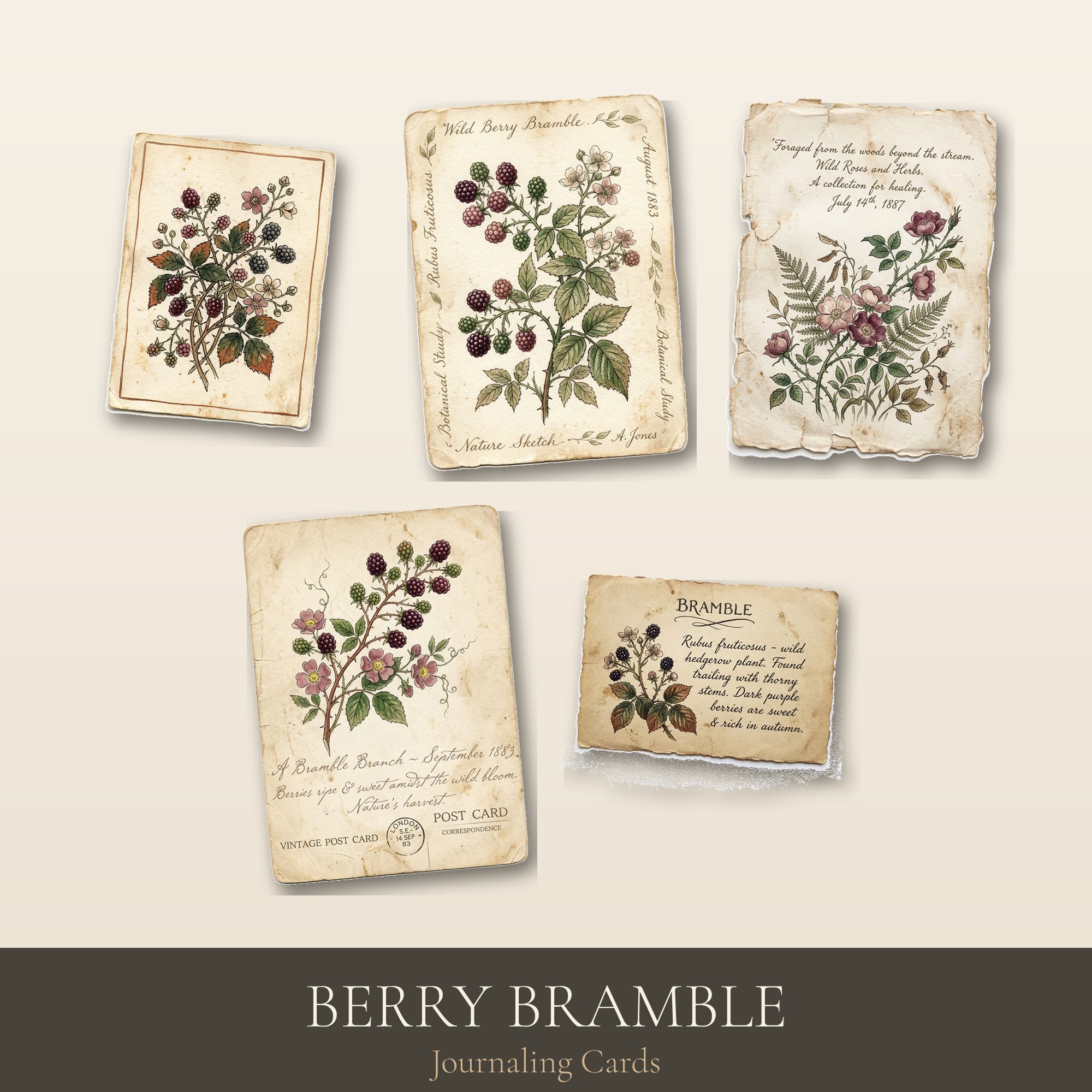 Berry Bramble Journaling Cards | Printable ATC & Postcards | Digital Download