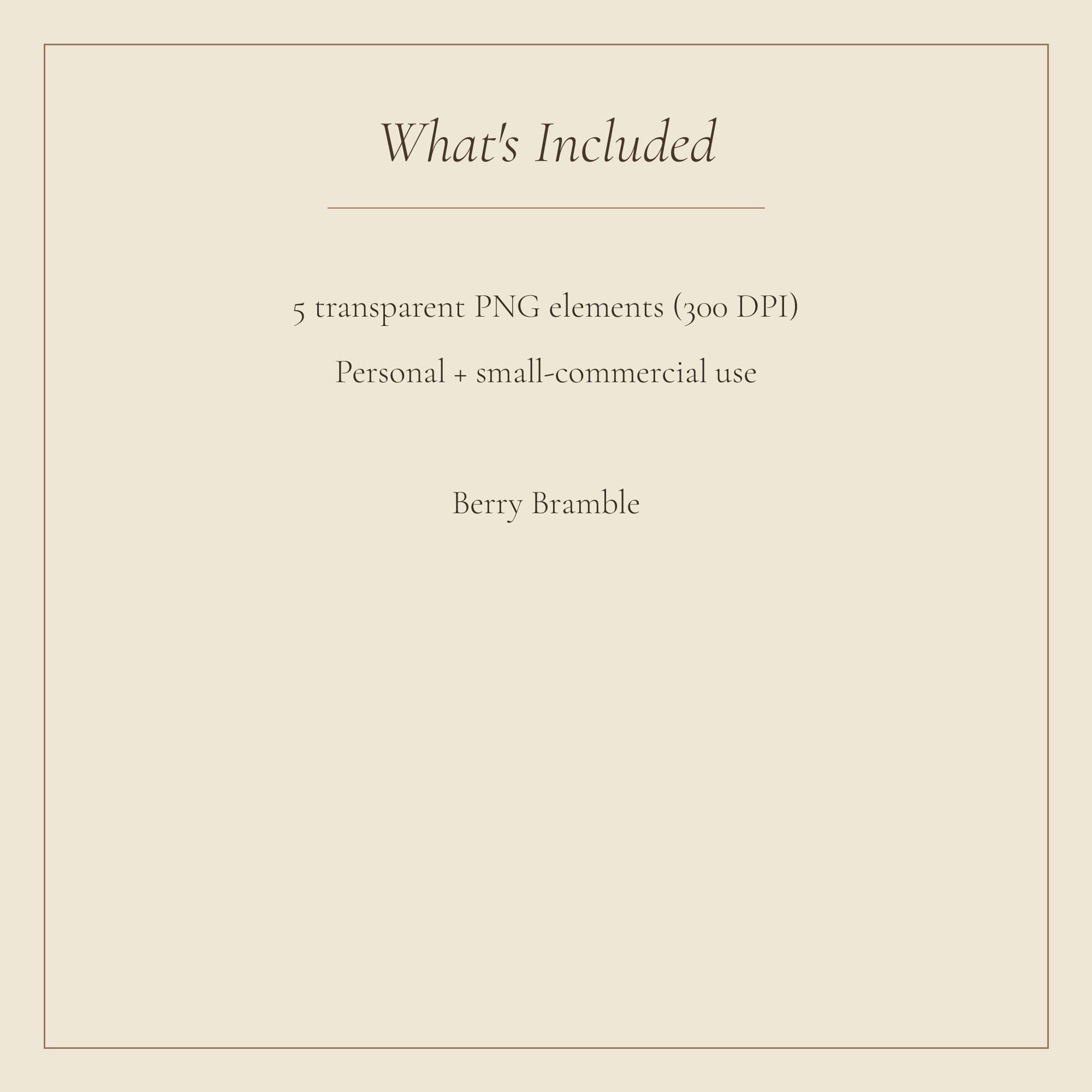 Berry Bramble Envelopes & Seals — preview