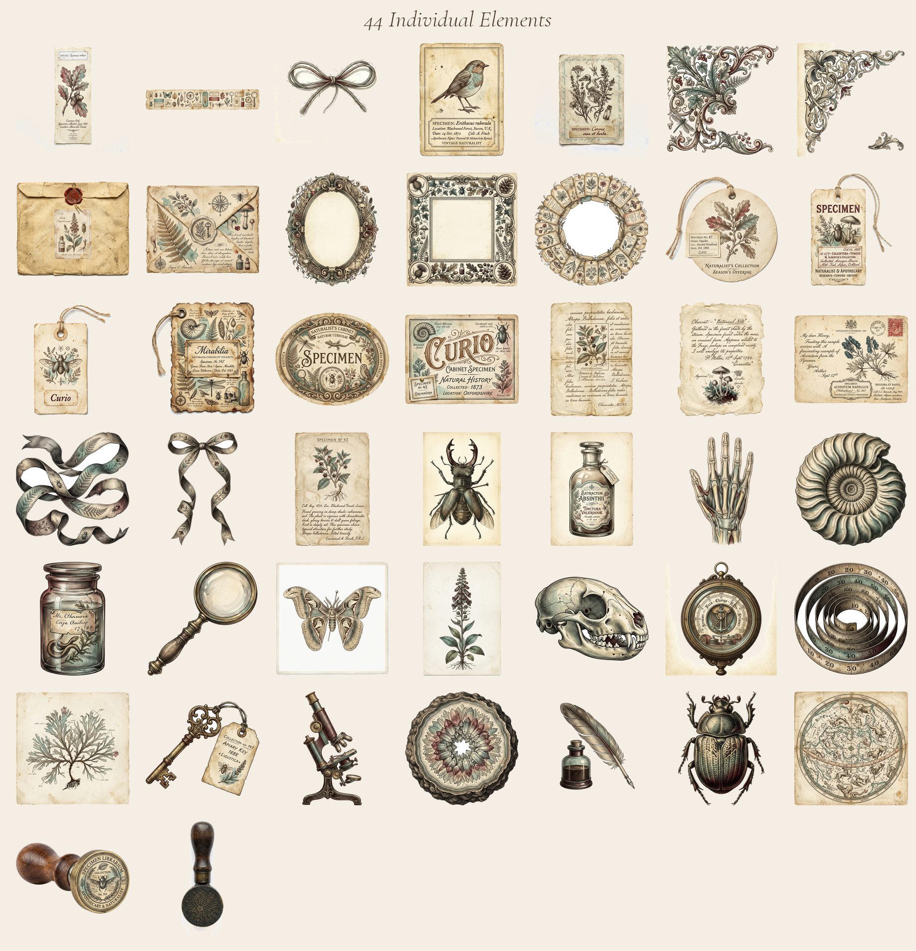 Cabinet of Curiosities Junk Journal Kit ADD-ON — preview