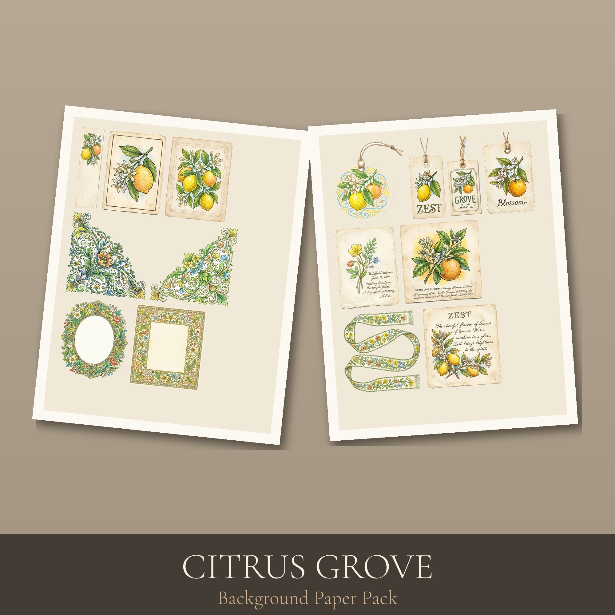 Citrus Grove Paper Pack — preview