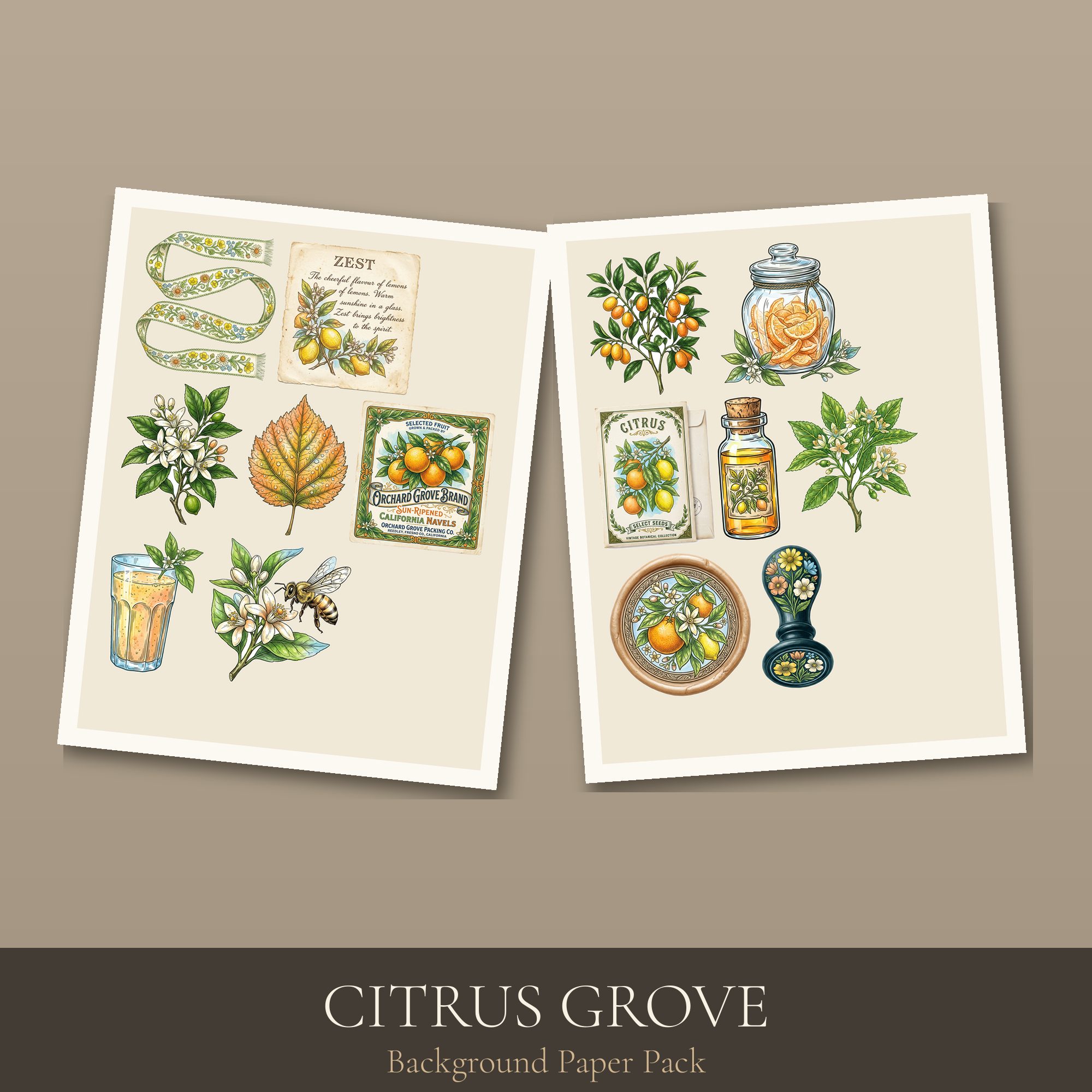Citrus Grove Paper Pack — preview