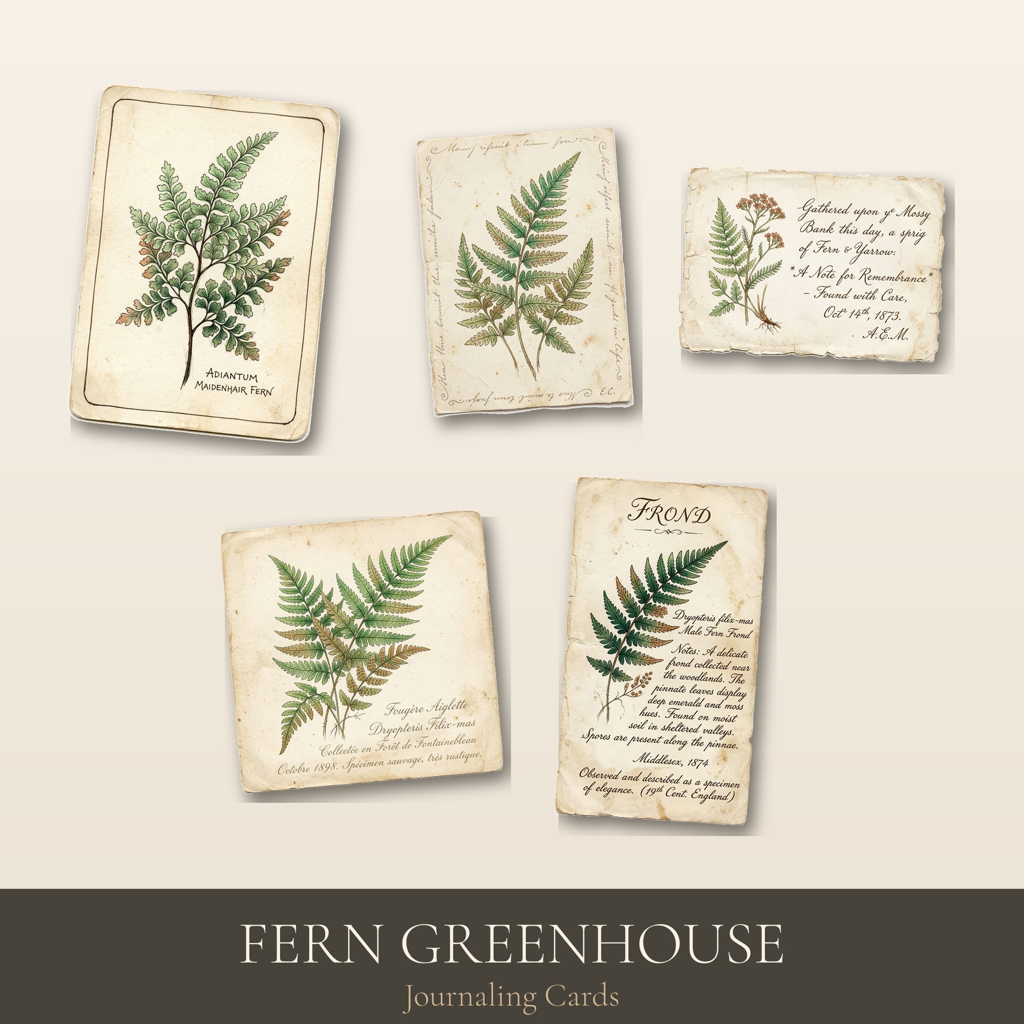 Fern Greenhouse Journaling Cards | Printable ATC & Postcards | Digital Download