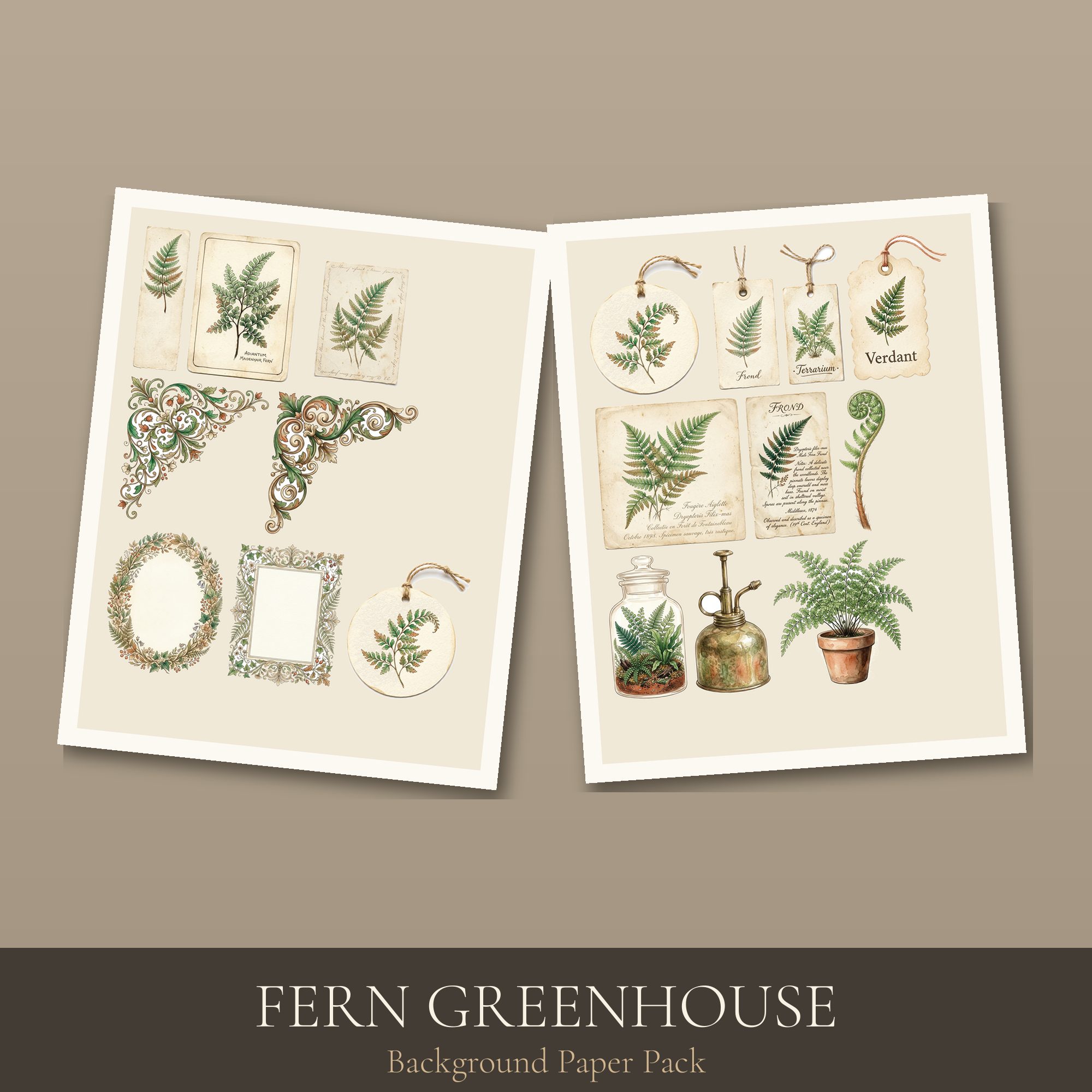 Fern Greenhouse Paper Pack — preview