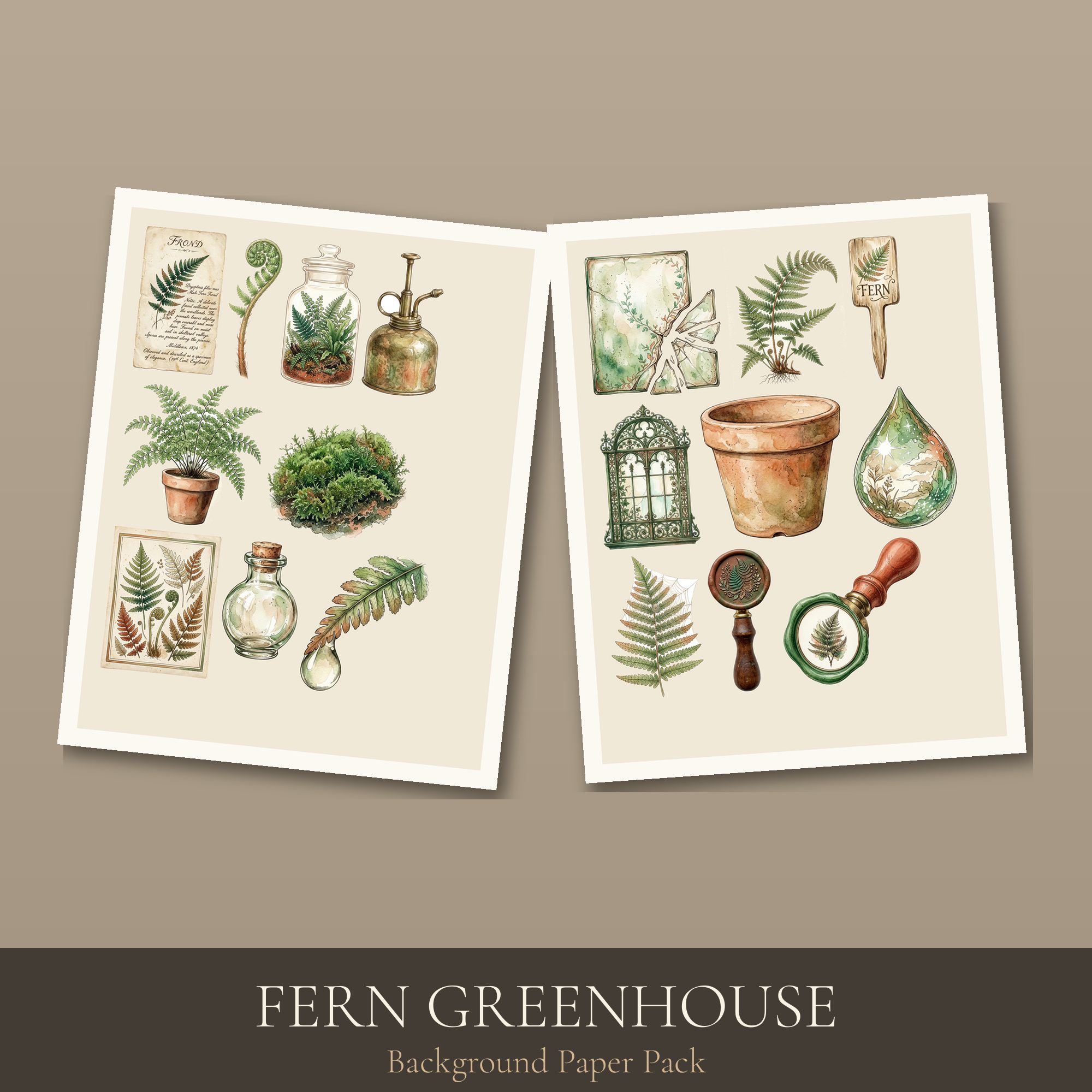 Fern Greenhouse Paper Pack — preview