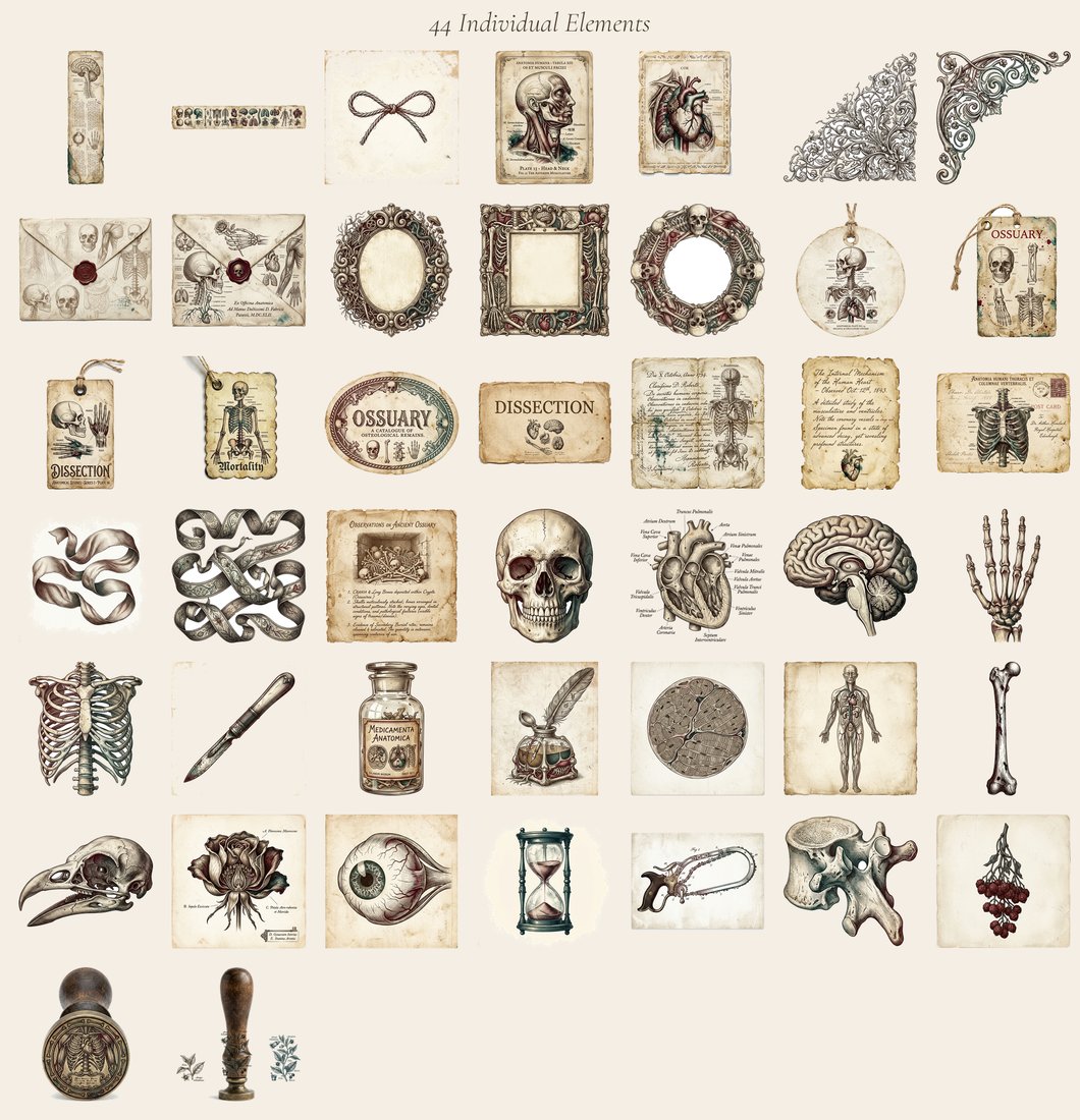 Macabre Anatomy junk journal kit — elements overview